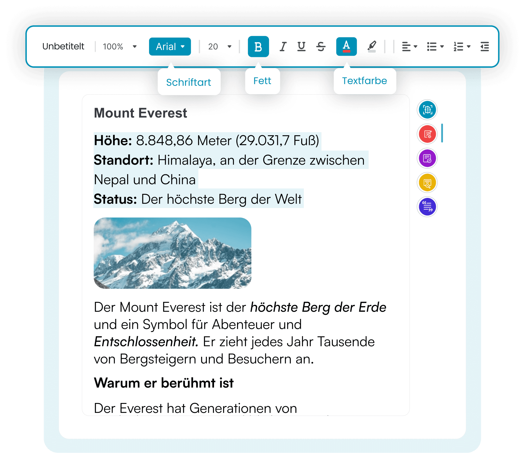 Ein echter Editor, nicht nur ein Textfeld